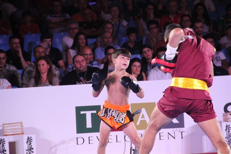 Martial Arts Festival
